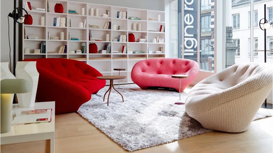 Canape-ligne-roset