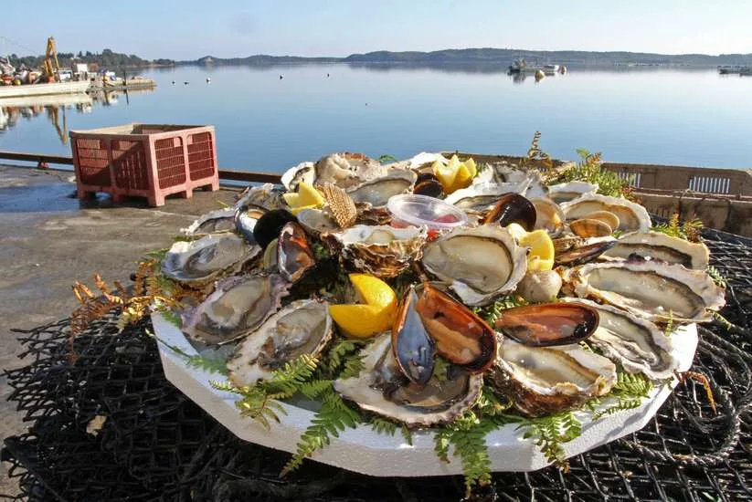 Huitres et Moules Etang de Diane