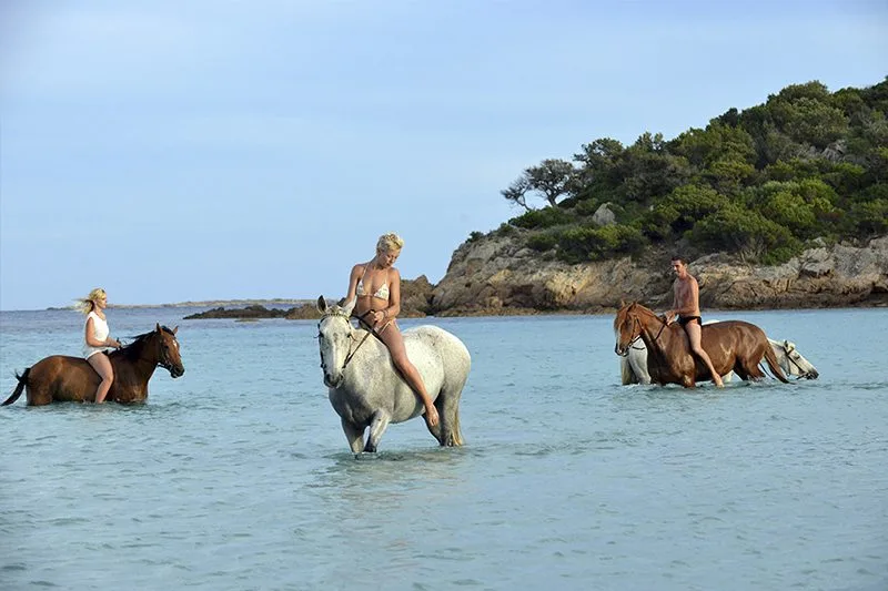 La Chiappa-equitation