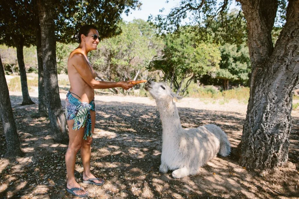 Riva bella Lama