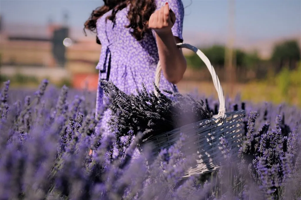 destination-luxe-provence