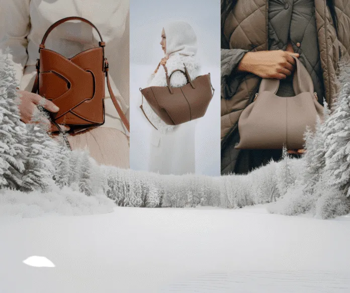 sac-polène-contrefaçon-vinted