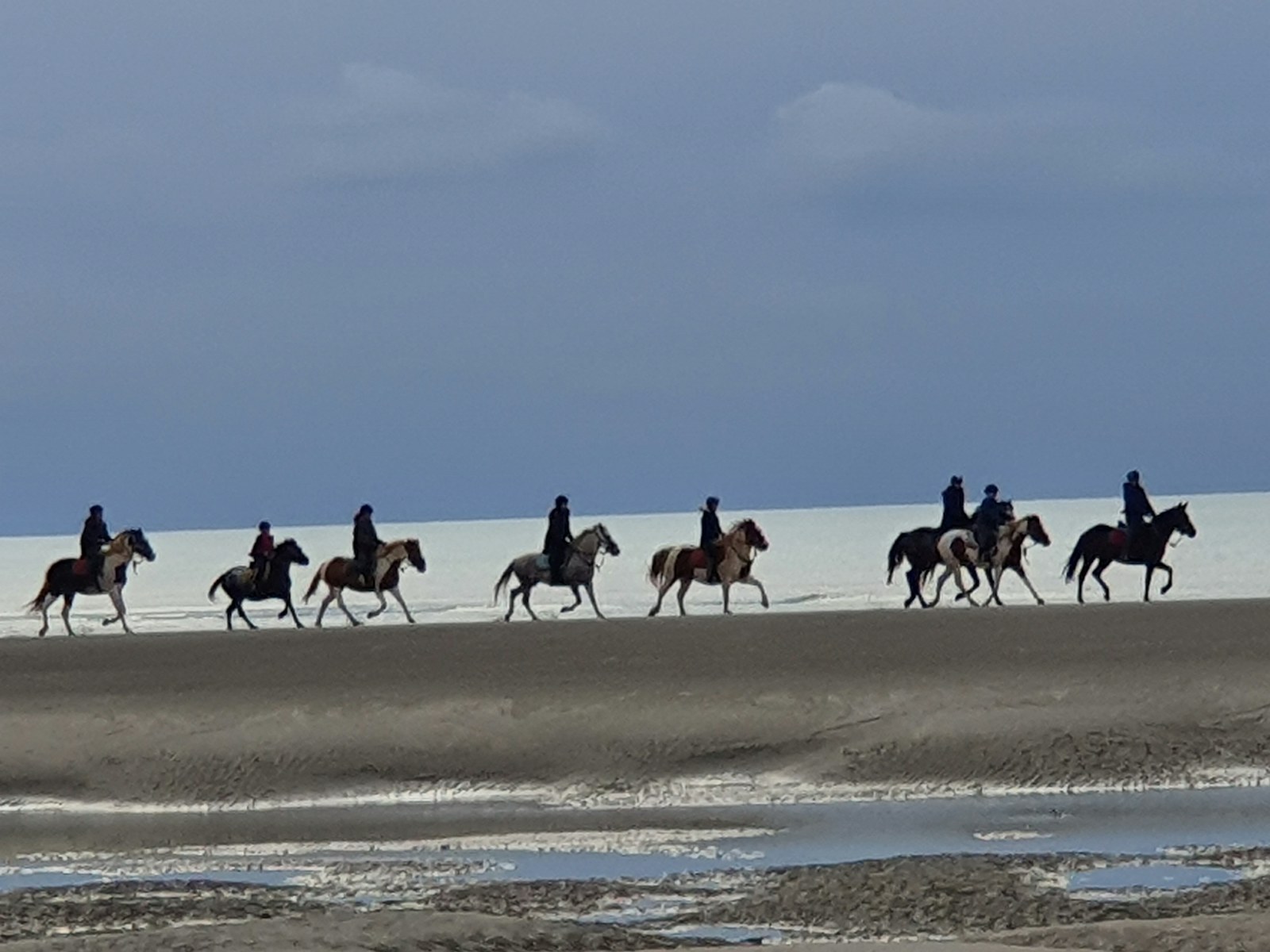 Balade à cheval sur la plage du Touquet à marée basse