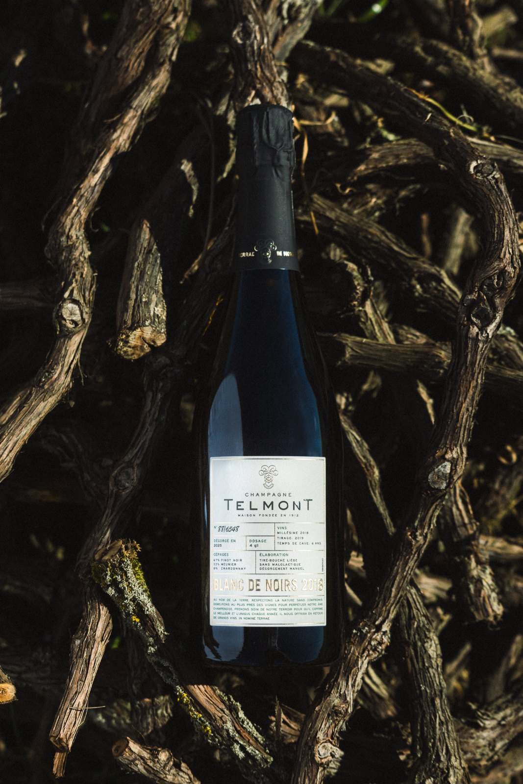 Champagne Telmont Blanc de Noirs 2018 sur un lit de sarments