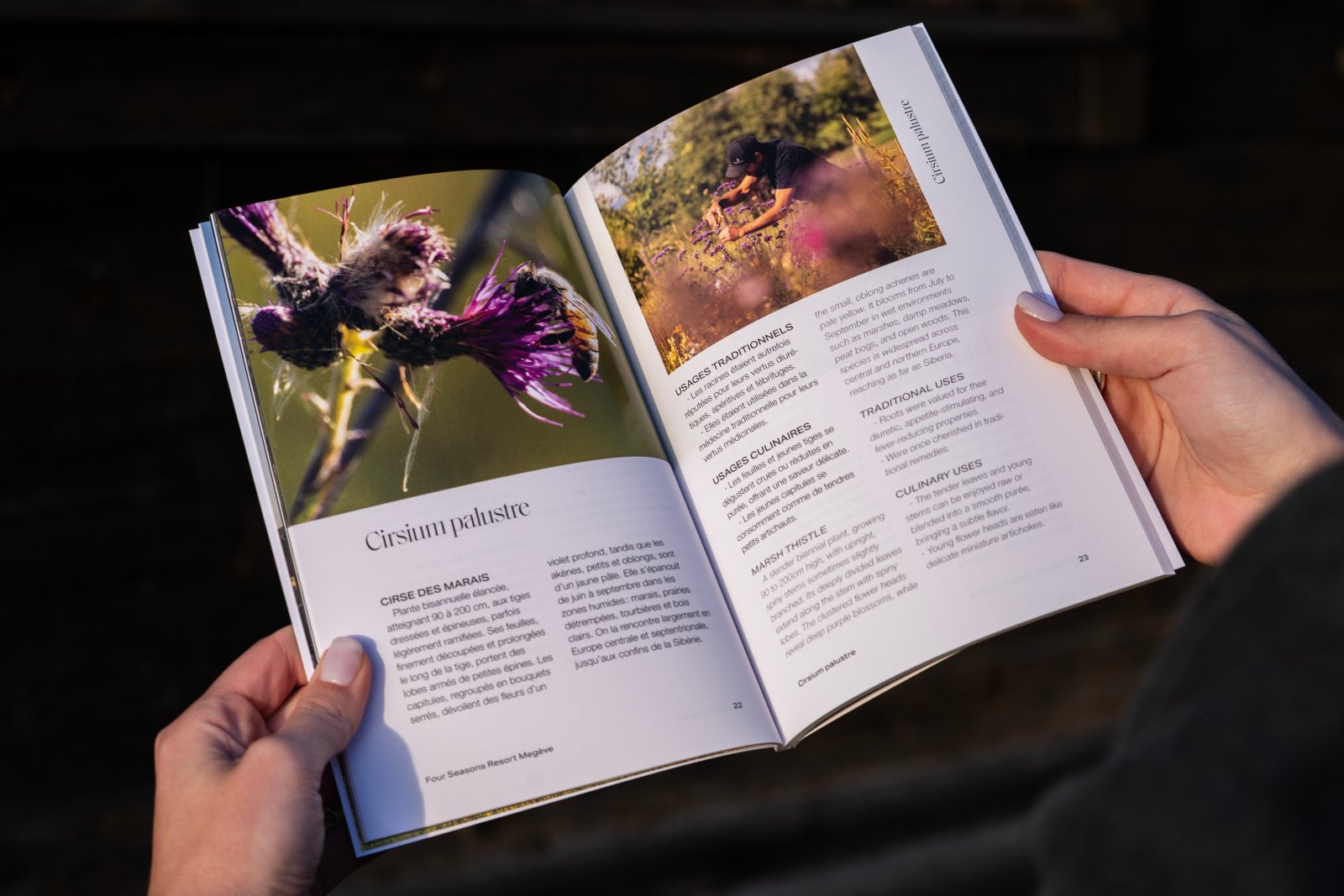 Double page de « Fleurs sauvages des Alpes », entre photographies et textes botaniques