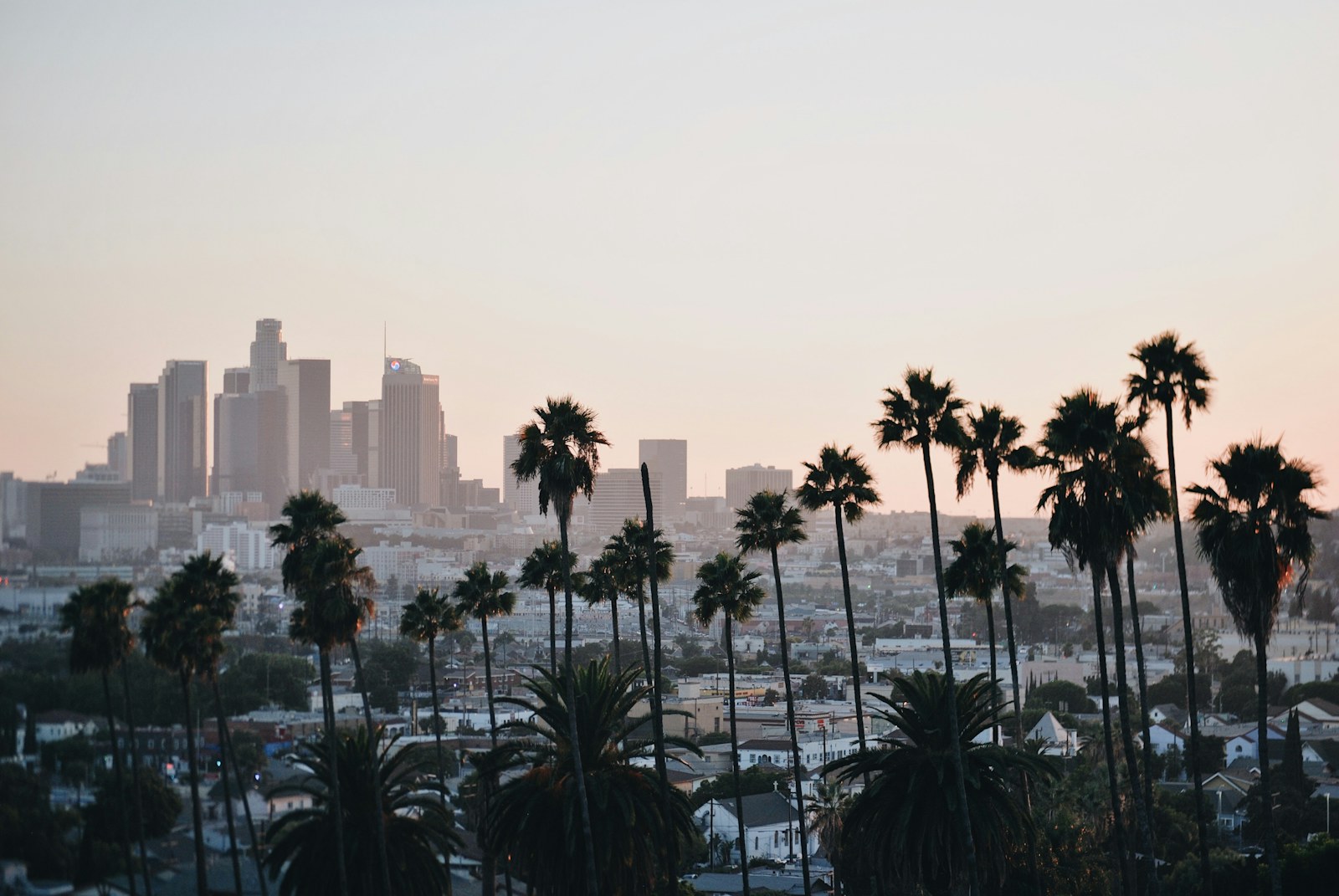 Silhouettes de palmiers devant la skyline de Los Angeles