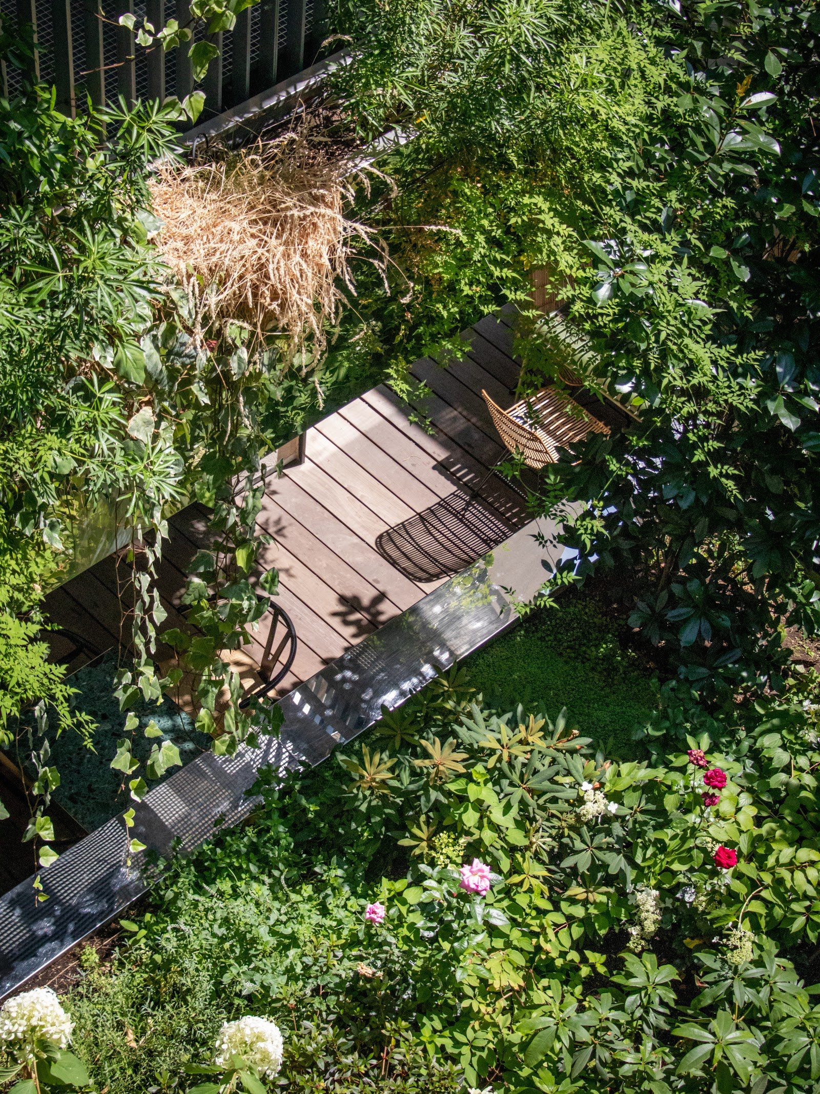 La végétation luxuriante du jardin du Parister Hôtel
