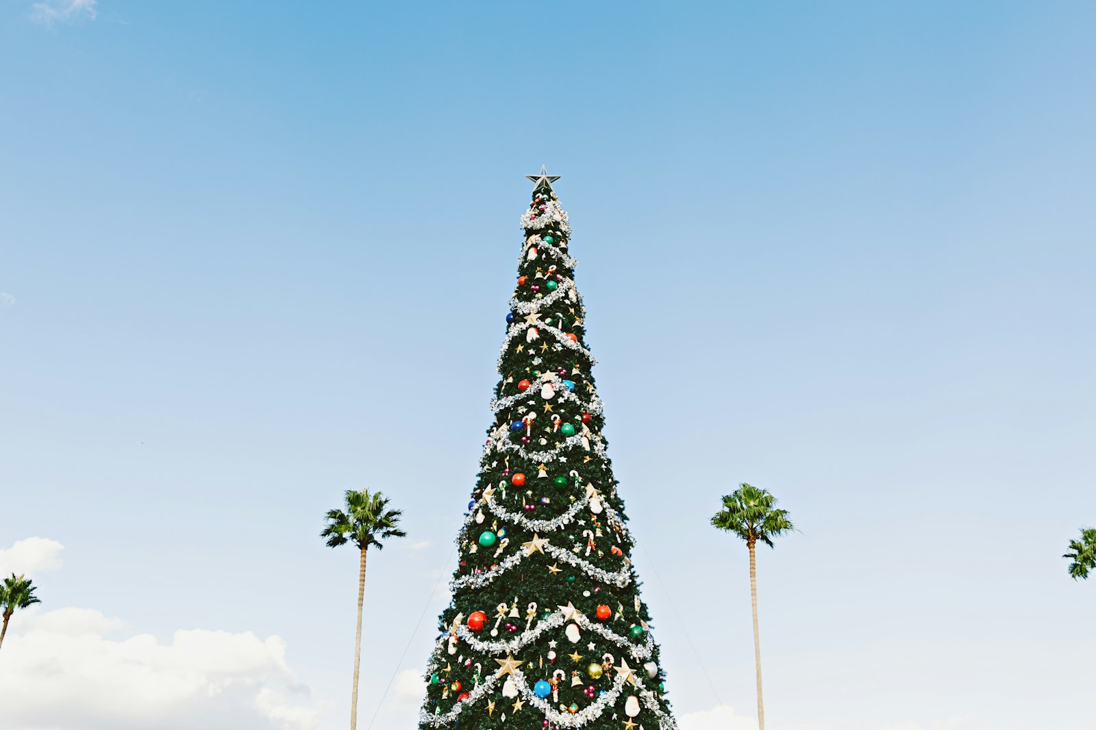 Sapin de Noël entouré de palmiers sous le soleil