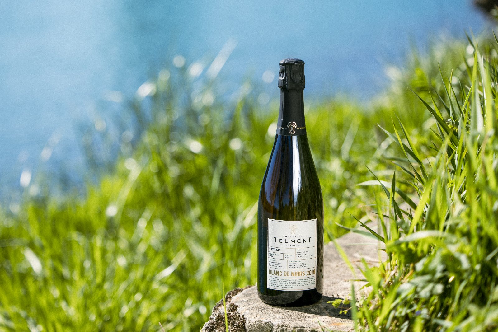 Champagne Telmont Blanc de Noirs 2018 dans la nature, Maison engagée pour la viticulture biologique