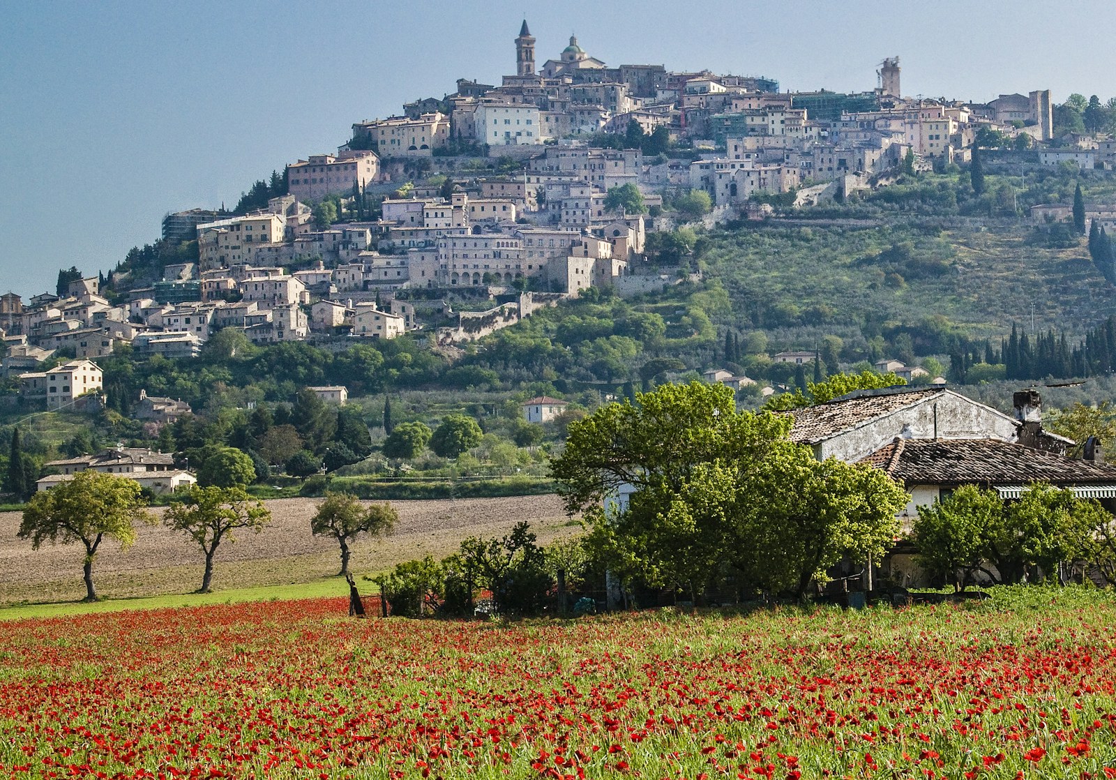 Un village perché au milieu des coquelicots, en Italie